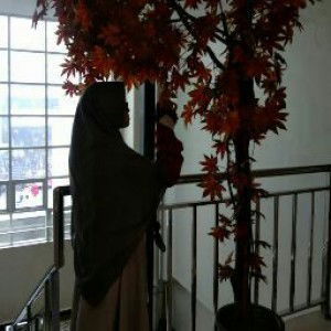 dedah 03 profile icon