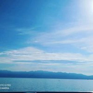 Wasilatun Abidah profile icon