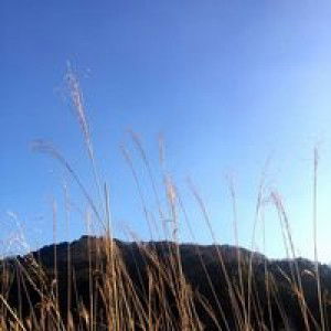 Wirdatussholeha Wirdatussholeha profile icon