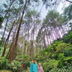 Irma Amelia Anastasya profile icon