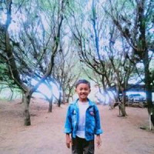 Vita Erlytasari profile icon