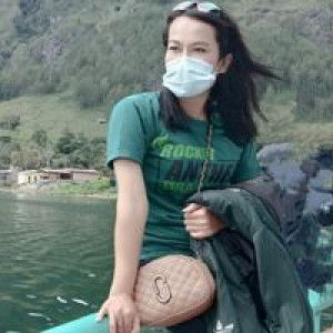 Dameria Simarmata profile icon