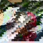 ErnaLis Subhan profile icon