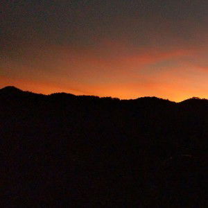 Novi Khomalasari profile icon