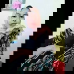 Renniree profile icon