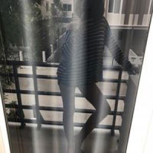 DB Cattus profile icon