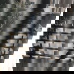 DB Cattus profile icon