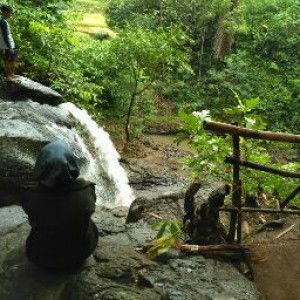 Fitri Kharisma Samsudin profile icon