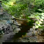 Fitri Kharisma Samsudin profile icon