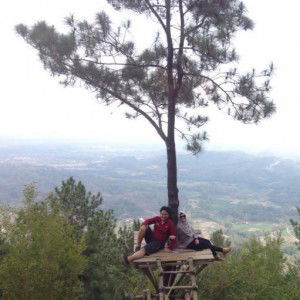 Dita Parastuti profile icon