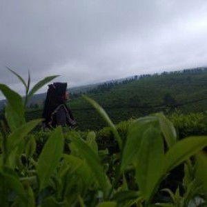 lih yah profile icon