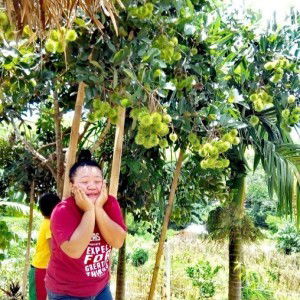 Mindaros Christine profile icon