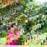 Mindaros Christine profile icon