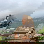 Marni Ghazane profile icon