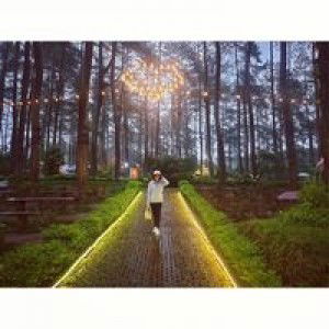 Mery Suliawanti profile icon