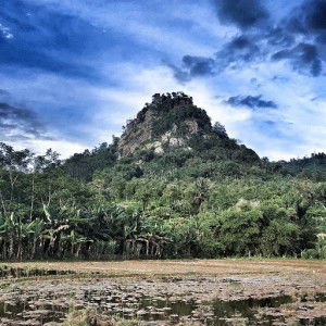 Shafiy Ibrahim profile icon