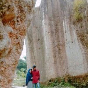 Sar'i Fals profile icon