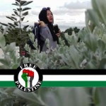 Brianie Dolah profile icon