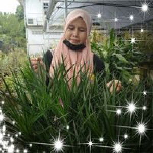 Suze Elfira profile icon