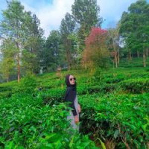 Nina Nisfiana profile icon