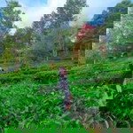 Nina Nisfiana profile icon