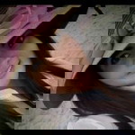 บ้านเห็ดพูนผล บุรีรัมย์ profile icon