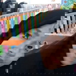 Ayuu azh profile icon