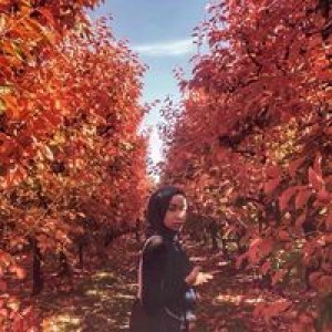 Hanifah Rosley profile icon