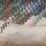 Zulfa Muzaidah profile icon