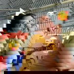 Helen Muoi profile icon