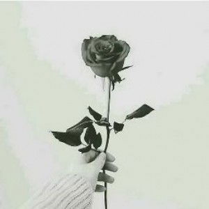 Tia eka mawarni profile icon