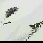 Tia eka mawarni profile icon