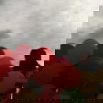 Bonda profile icon