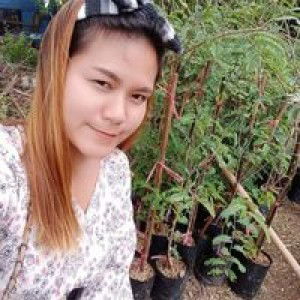 มะลิวัลย์ นามนุษย์ศรี profile icon