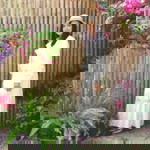 Auiaui Idea profile icon