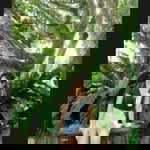 Mae B. Almo profile icon