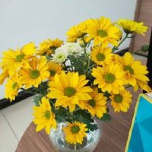 Tuyen Le profile icon