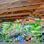 Apowl Keyt profile icon