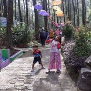 Ummi Bilqis profile icon