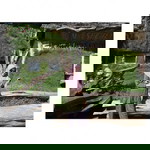 Yunah Official profile icon