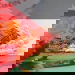 Mufeeda Delisha profile icon