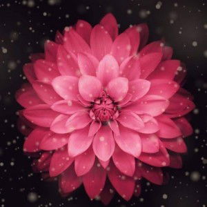 Siti Sarah profile icon