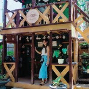 Eliza Collins profile icon