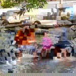 Joey Domingo profile icon