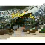 Khairatul Insani F profile icon