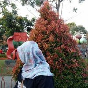 Ash Aulia profile icon