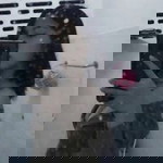 Kan Kannika profile icon