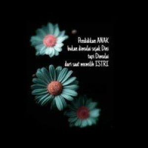 Aan Supriadi profile icon