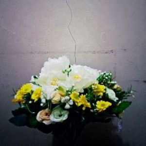 vega muhanniyah profile icon