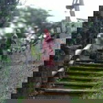 yeni farida profile icon